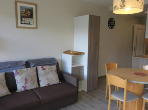 Studio lumineux avec balcon - 4 pers, BBQ électrique, parking couvert, animaux admis - FR-1-198-115